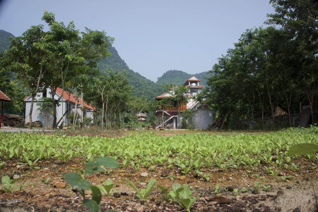 Ho Khanh'S Homestay ฟ็องญา ภายนอก รูปภาพ